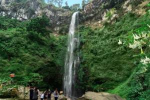 coban rondo