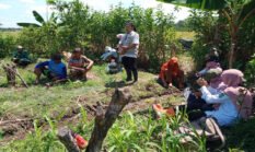 Gencarkan Sosialisasi Pengendalian Hama, Dispertan Banyuwangi dan BPP Cluring Langsung Datangi Petani Jeruk