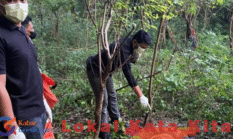 Penemuan Mayat Membusuk di Bukit Desa Suci Gegerkan Warga
