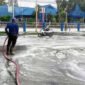 Ganggu Lalu Lintas - Tumpahan minyak goreng penuhi jalur simpang tiga lampu merah depan DPRD Banyuwangi, mengganggu kenyamanan pengguna lalu lintas di jalur dalam Kota Banyuwangi (Foto : Istimewa/Jatim.co)
