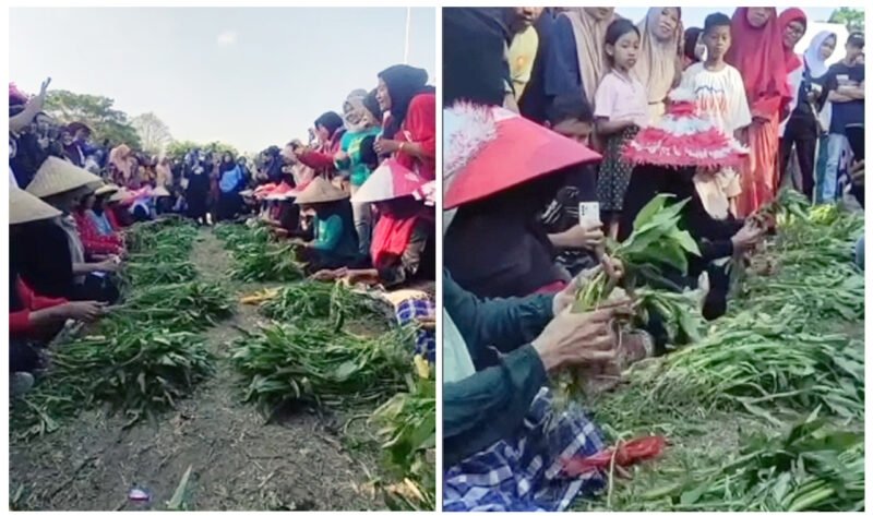 Lomba Unting Kangkung - Tangan dan jemari emak-emak lansia 65 tahun tampak cekatan saat membersihkan, memilah dan mengikat sayur kangkung menjadi untingan dalam lomba unik peringati HUT RI Ke-80 di Kelurahan Penataban, Giri, Banyuwangi (Foto : Istimewa/Jatim.co)