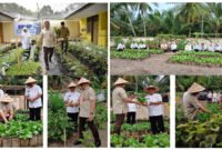 IKUT PANEN - Kepala Dinas Pendidikan Provinsi Jawa Timur, Aries Agung Paewai bersama Kacabdin Kabupaten Banyuwangi ikut melakukan panen sayuran di ruang tanam SLBN Tamanagung (Foto : SLBN Tamanagung/Jatim.co) 