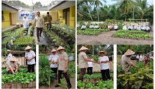 IKUT PANEN - Kepala Dinas Pendidikan Provinsi Jawa Timur, Aries Agung Paewai bersama Kacabdin Kabupaten Banyuwangi ikut melakukan panen sayuran di ruang tanam SLBN Tamanagung (Foto : SLBN Tamanagung/Jatim.co) 