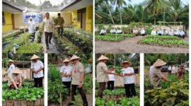 IKUT PANEN - Kepala Dinas Pendidikan Provinsi Jawa Timur, Aries Agung Paewai bersama Kacabdin Kabupaten Banyuwangi ikut melakukan panen sayuran di ruang tanam SLBN Tamanagung (Foto : SLBN Tamanagung/Jatim.co) 