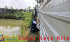 Diduga Buang Limbah ke Sungai, Tambak Vaname di Ujungpangkah Gresik Dikeluhkan Warga