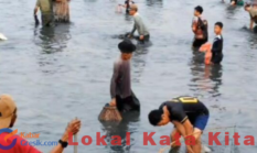Waduk Srumbung Bergolak: Ratusan Warga Berebut Ikan dengan Tangan Kosong